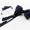 papillon in seta