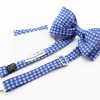 Silk bow tie with pocket handkerchief