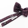 papillon in seta