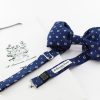 papillon in seta