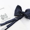 Silk bow tie