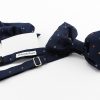 Silk bow tie with pocket handkerchief